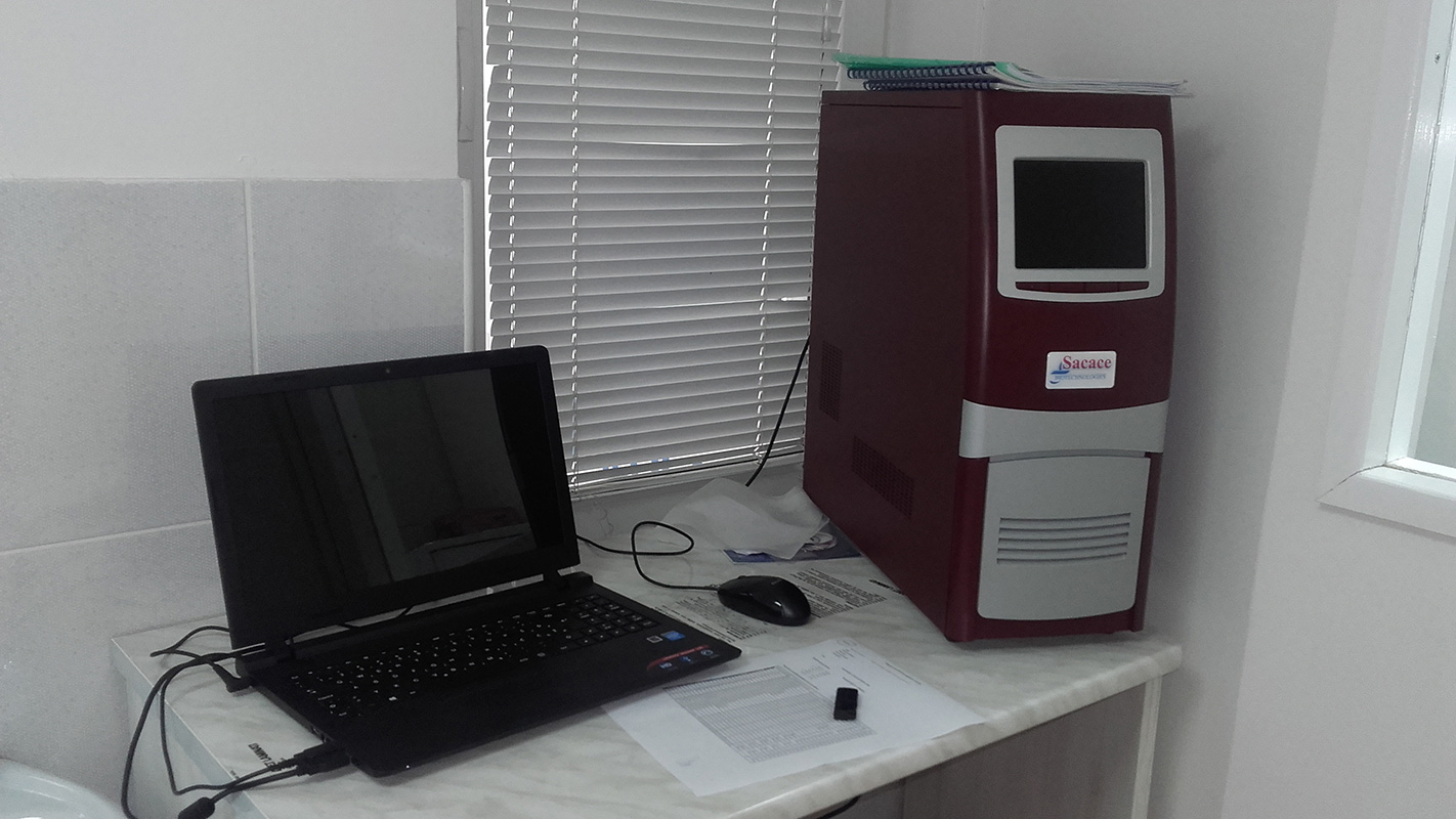 Real-time-PCR.jpg